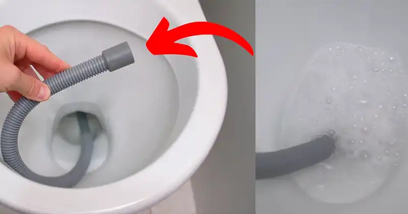 DIY Toilet Blockage Removal and Odor Elimination