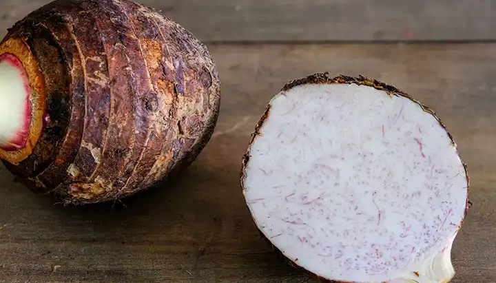 The Ancient Superfood Transforming Health and Sustainability