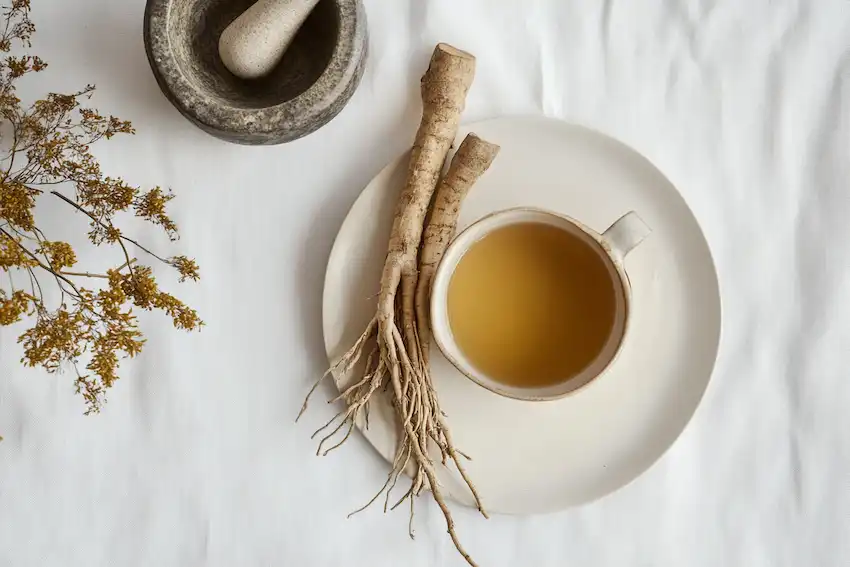 Techy Guru washed roots of common wireweed