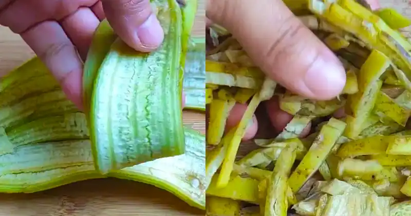 The Magic of Banana Peel…