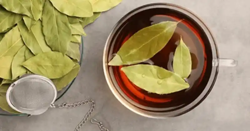 The Amazing Benefits of Boiling Bay Leaves: Health, Uses, and Safety