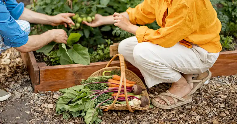 15 Genius Gardening Hacks for…
