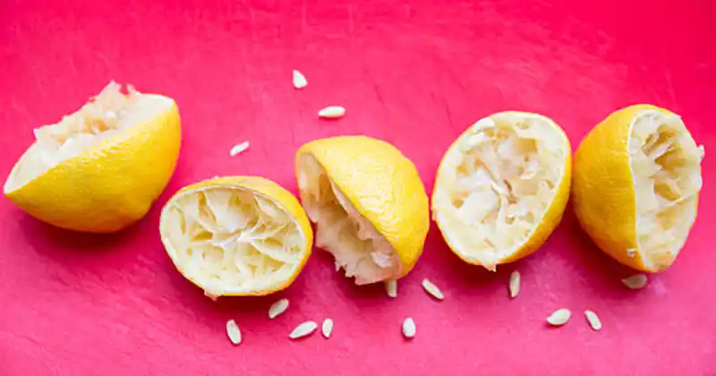 10 Clever Ways to Reuse…