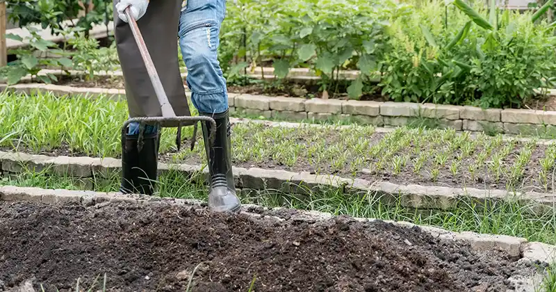 Revitalize Your Garden Soil with…