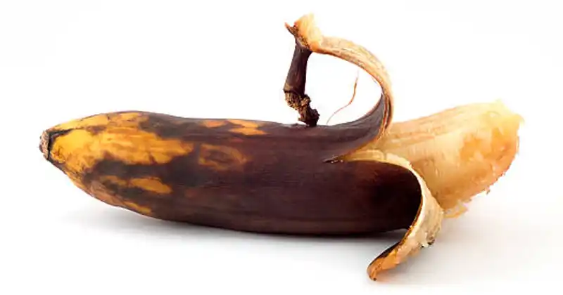 Don’t Throw Away Rotten Bananas! Transform…
