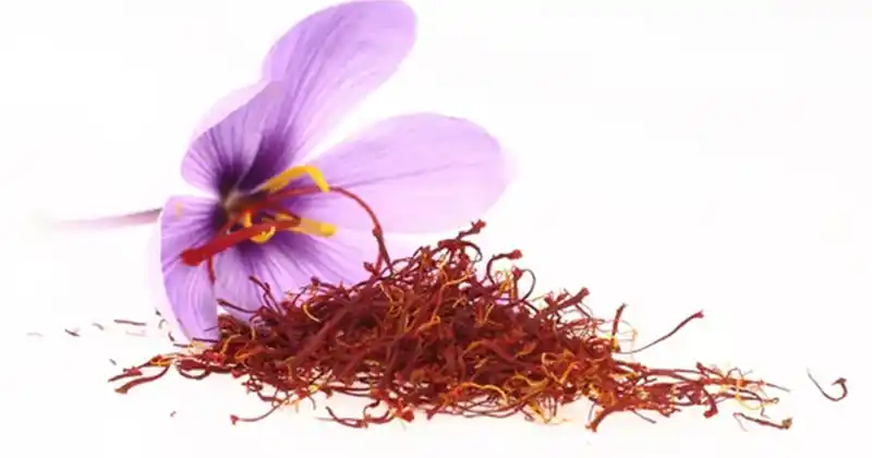 The Golden Spice: Benefits of…