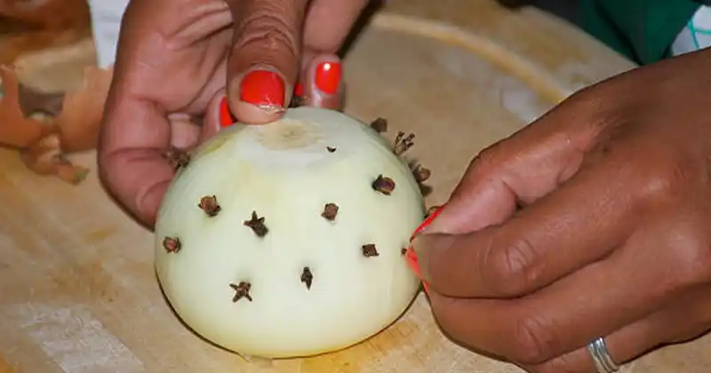 Cloves and Onion: An Ancient…