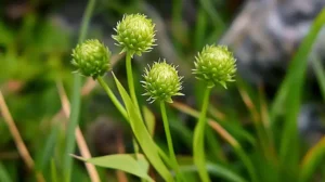 How to Collect, Use, and Benefit from It