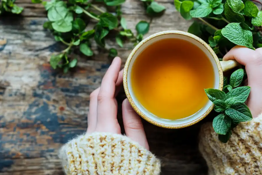 a warm steaming cup of oregano tea with fresh leaves on the side