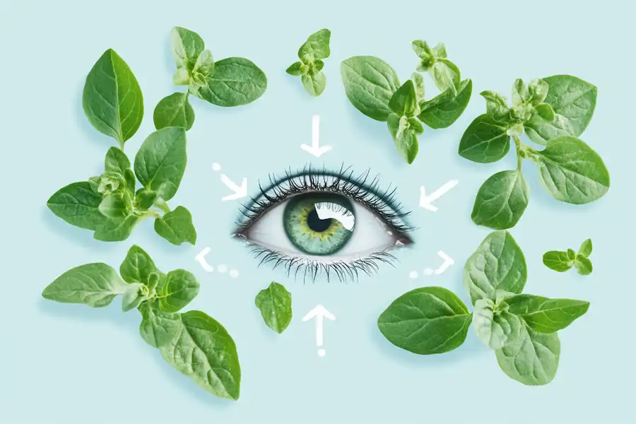 Is Oregano Good for Vision?…