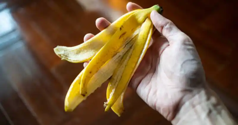 Don’t Throw Away Banana Peels!…