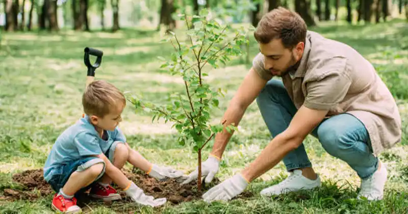 The Ultimate Guide to Planting a…