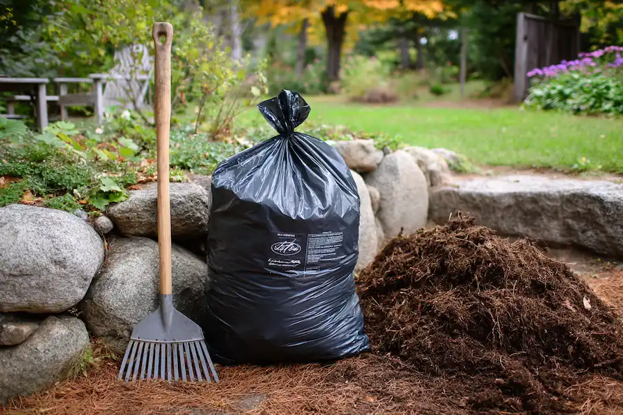 Techy Guru disposing of poison ivy safely