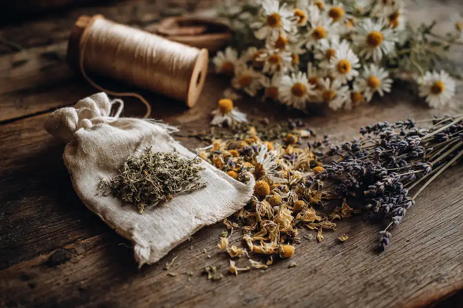 Techy Guru making mugwort dream pillow
