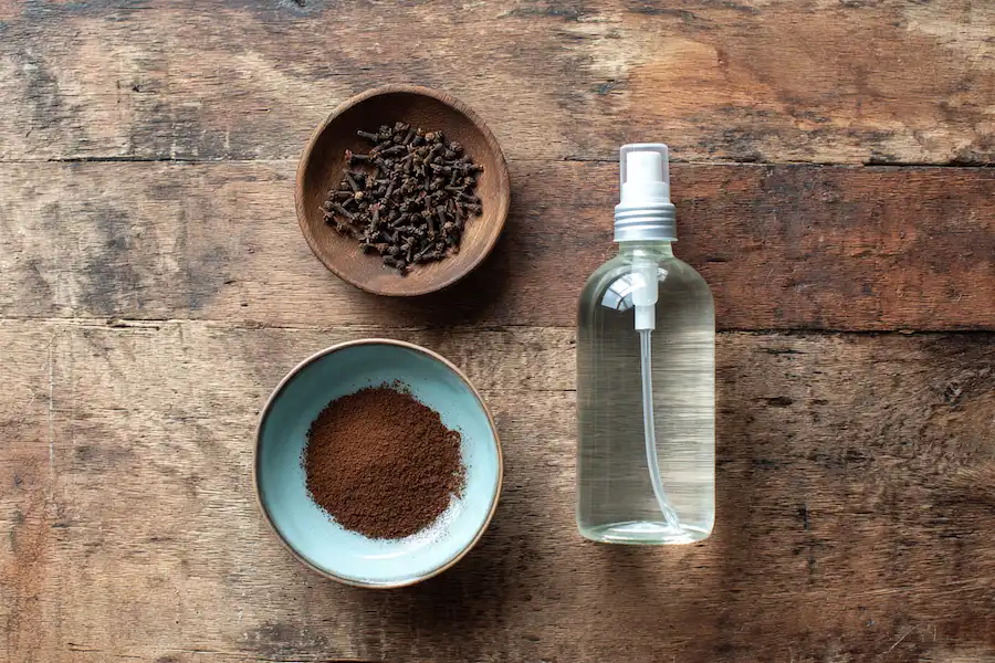 diy mosquito repellent cloves vinegar spray