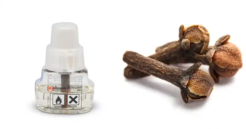 A Natural Way to Repel Mosquitoes and Insects…